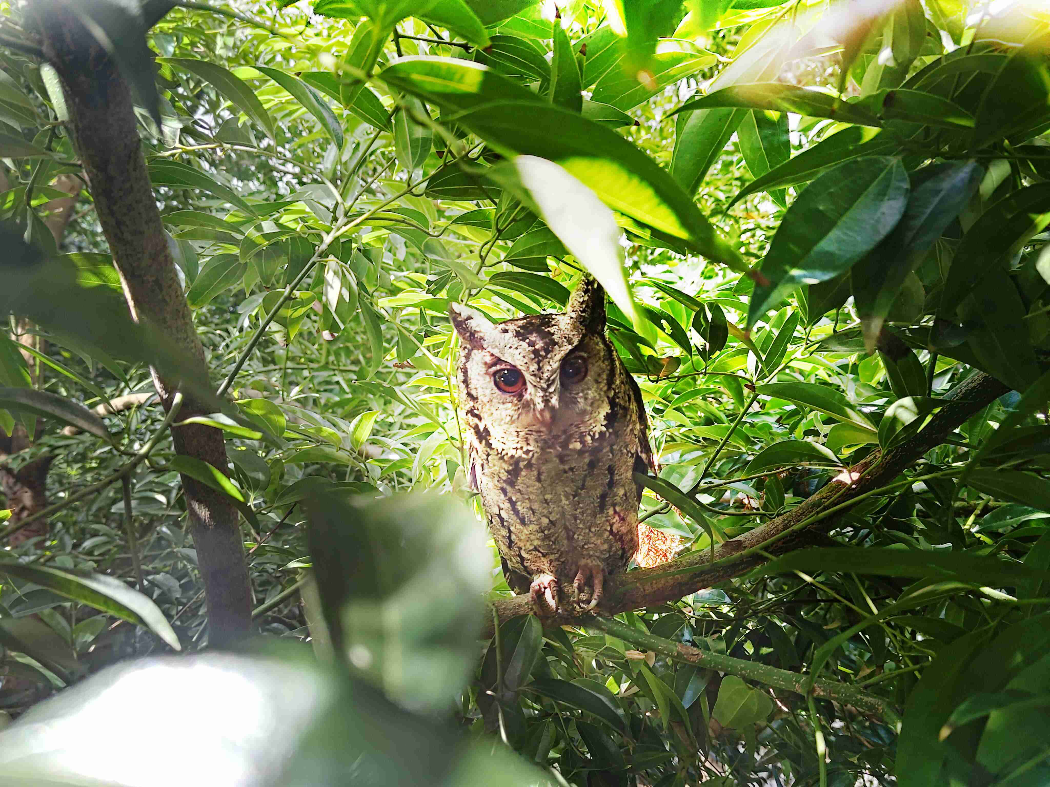 汇旺支付致力提倡净零绿生活，，，，16年以来在全球各厂区植树逾百万棵，，造就各厂区树木蔚然成林，，，，犹如森林工厂，，，，成为许多生物的栖息地
